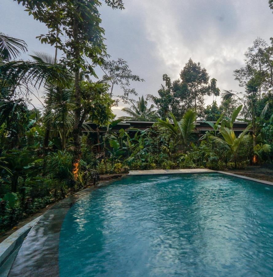 Daydream Lodge Tampaksiring Экстерьер фото