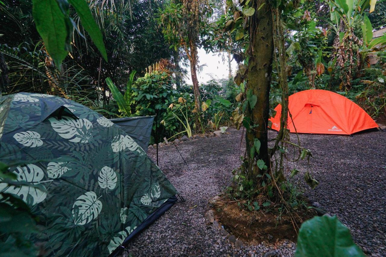 Daydream Lodge Tampaksiring Экстерьер фото