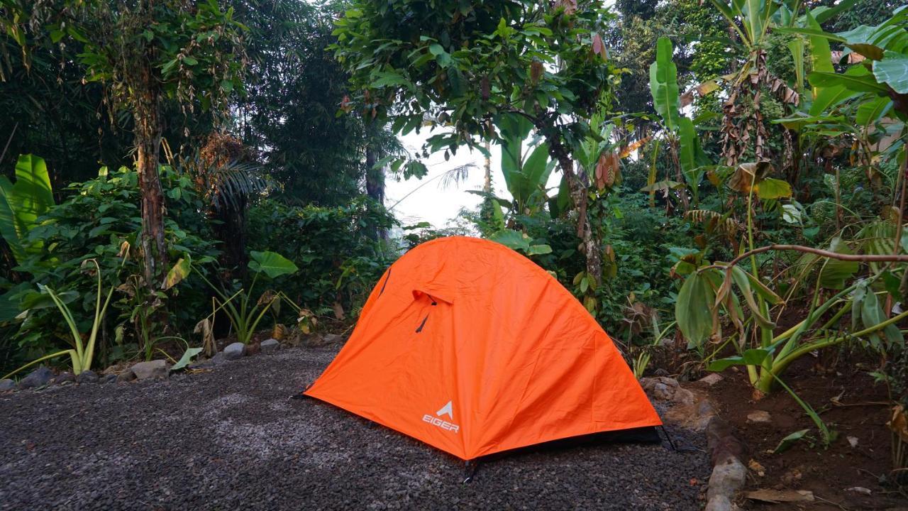 Daydream Lodge Tampaksiring Экстерьер фото