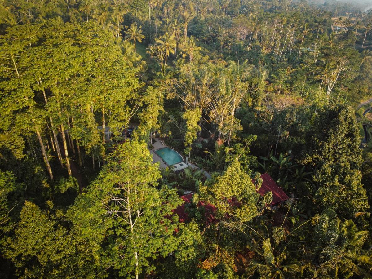 Daydream Lodge Tampaksiring Экстерьер фото