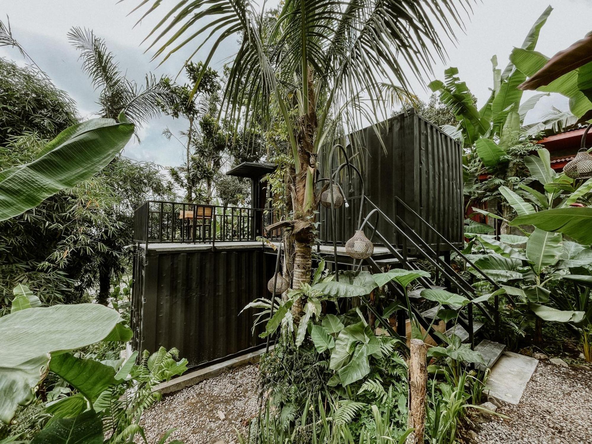 Daydream Lodge Tampaksiring Экстерьер фото