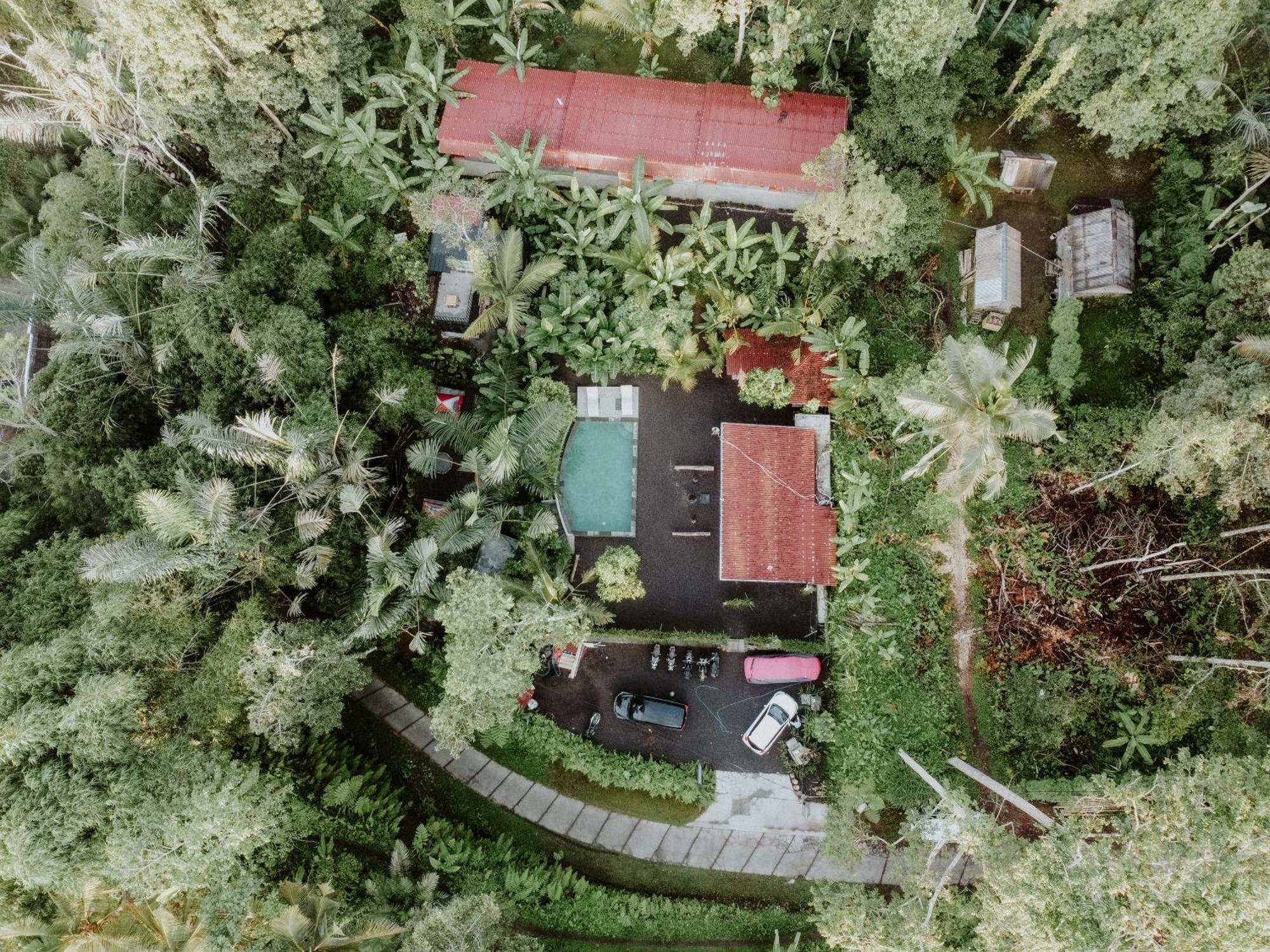 Daydream Lodge Tampaksiring Экстерьер фото